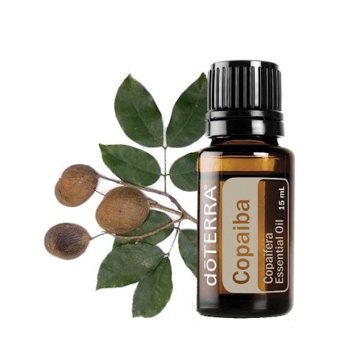 voedingsadvies massage zwolle Copaiba 2