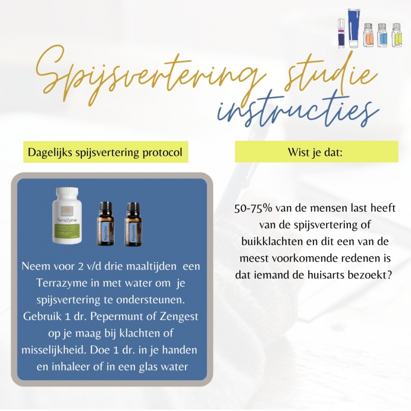 voedingsadvies massage zwolle Spijsvertering info