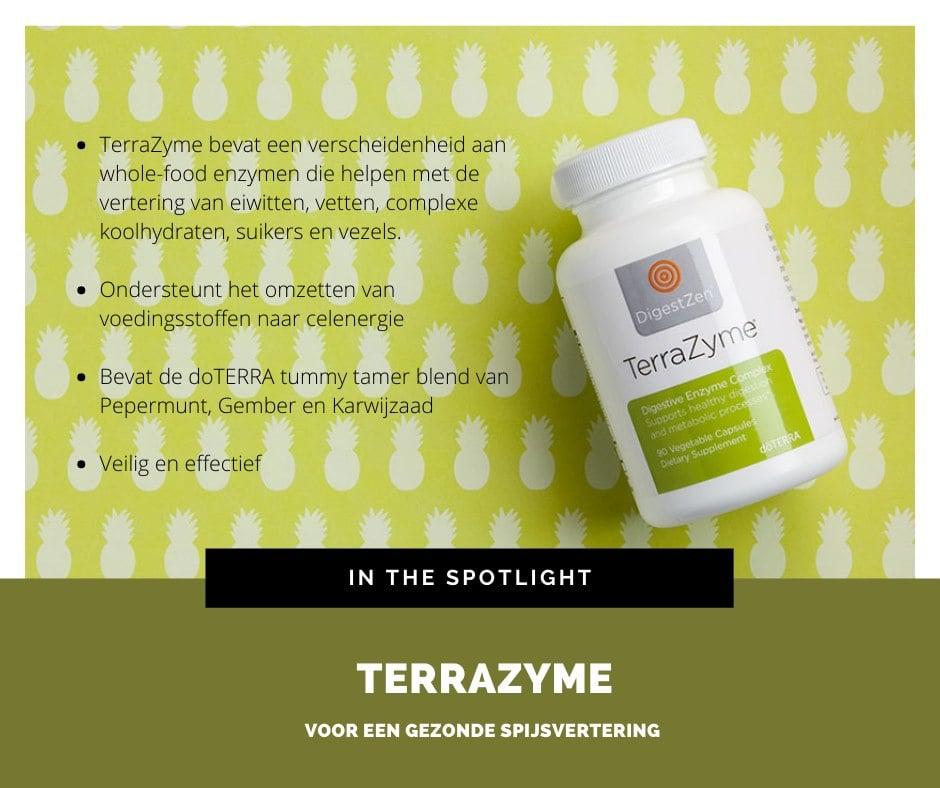 voedingsadvies massage zwolle TerraZyme