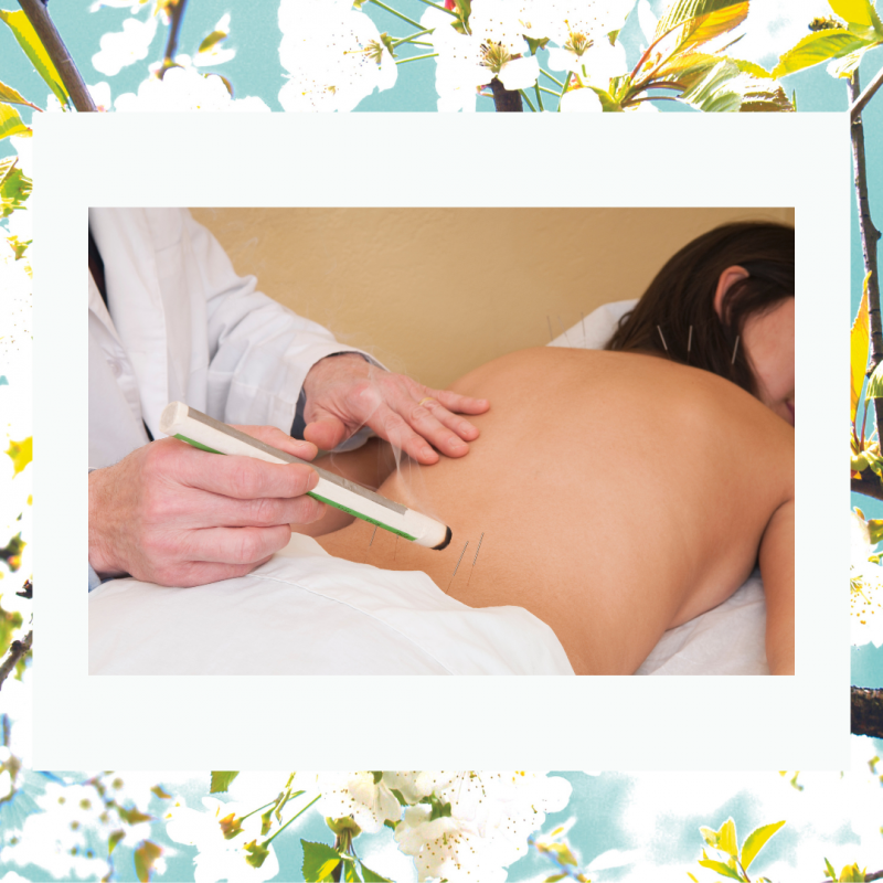 voedingsadvies massage zwolle moxa 3