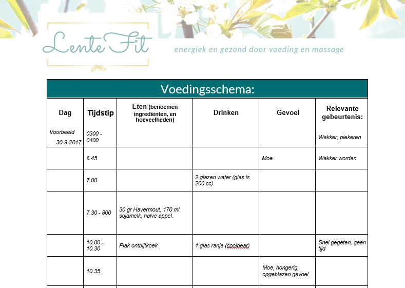 voedingsadvies massage zwolle voorbeeld voedingsschema